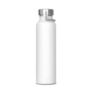 Thermofles RVS Skyler 650 ml