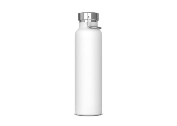 Thermofles RVS Skyler 650 ml