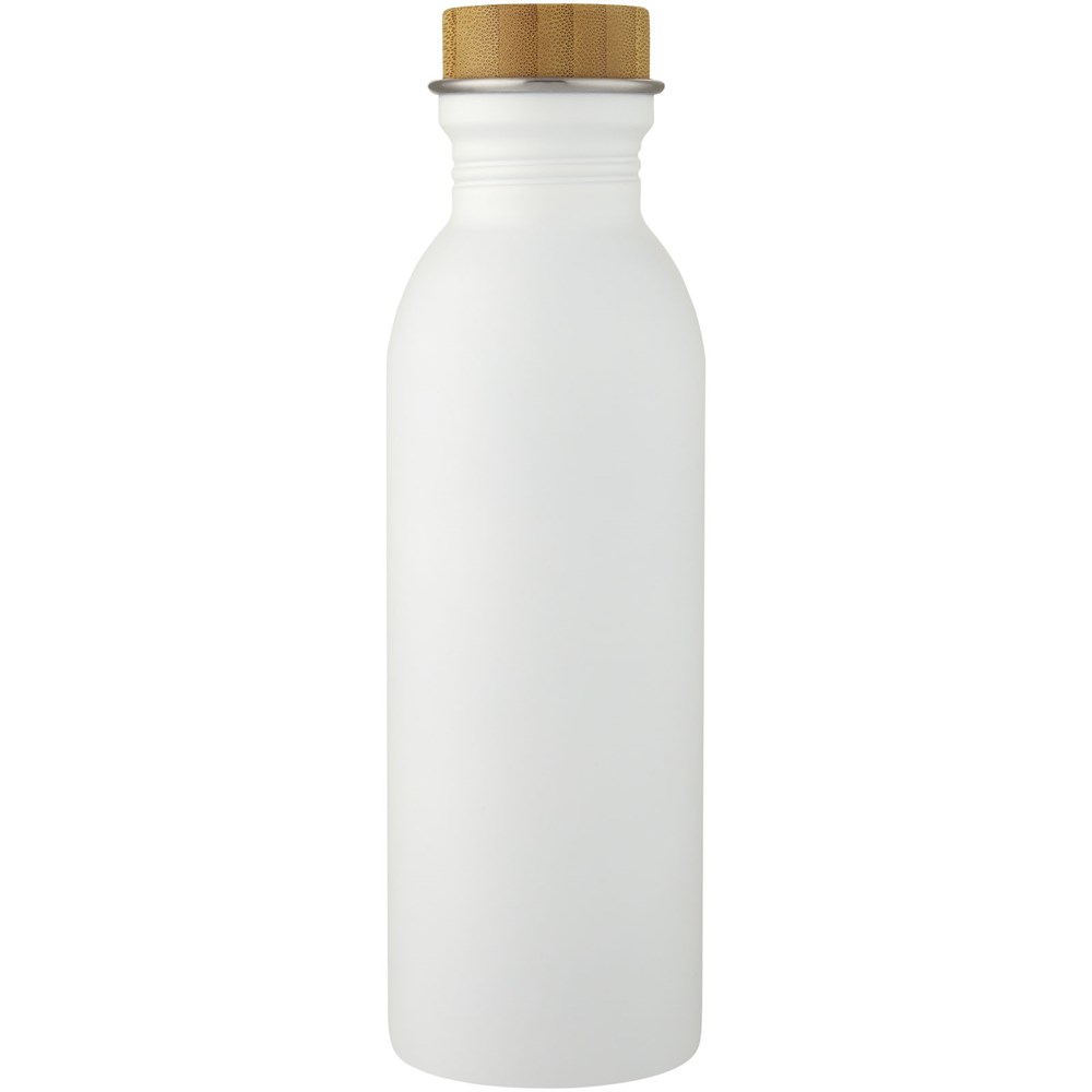 Waterfles Roestvrijstaal 650 ml