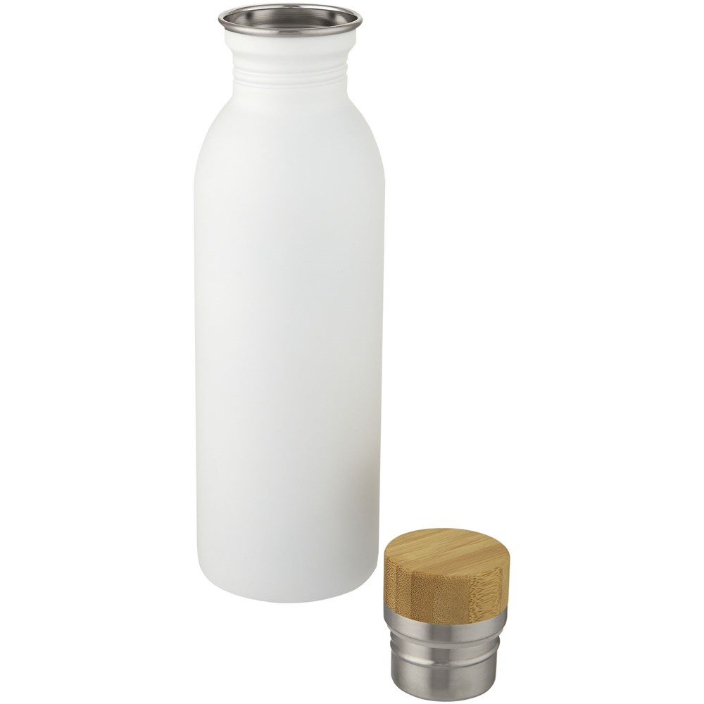 Waterfles Roestvrijstaal 650 ml