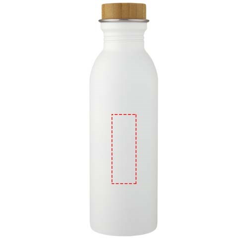 Waterfles Roestvrijstaal 650 ml