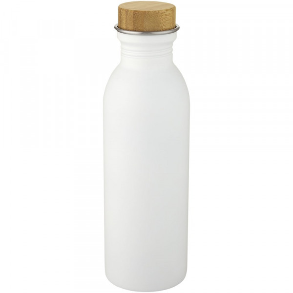 Waterfles Roestvrijstaal 650 ml